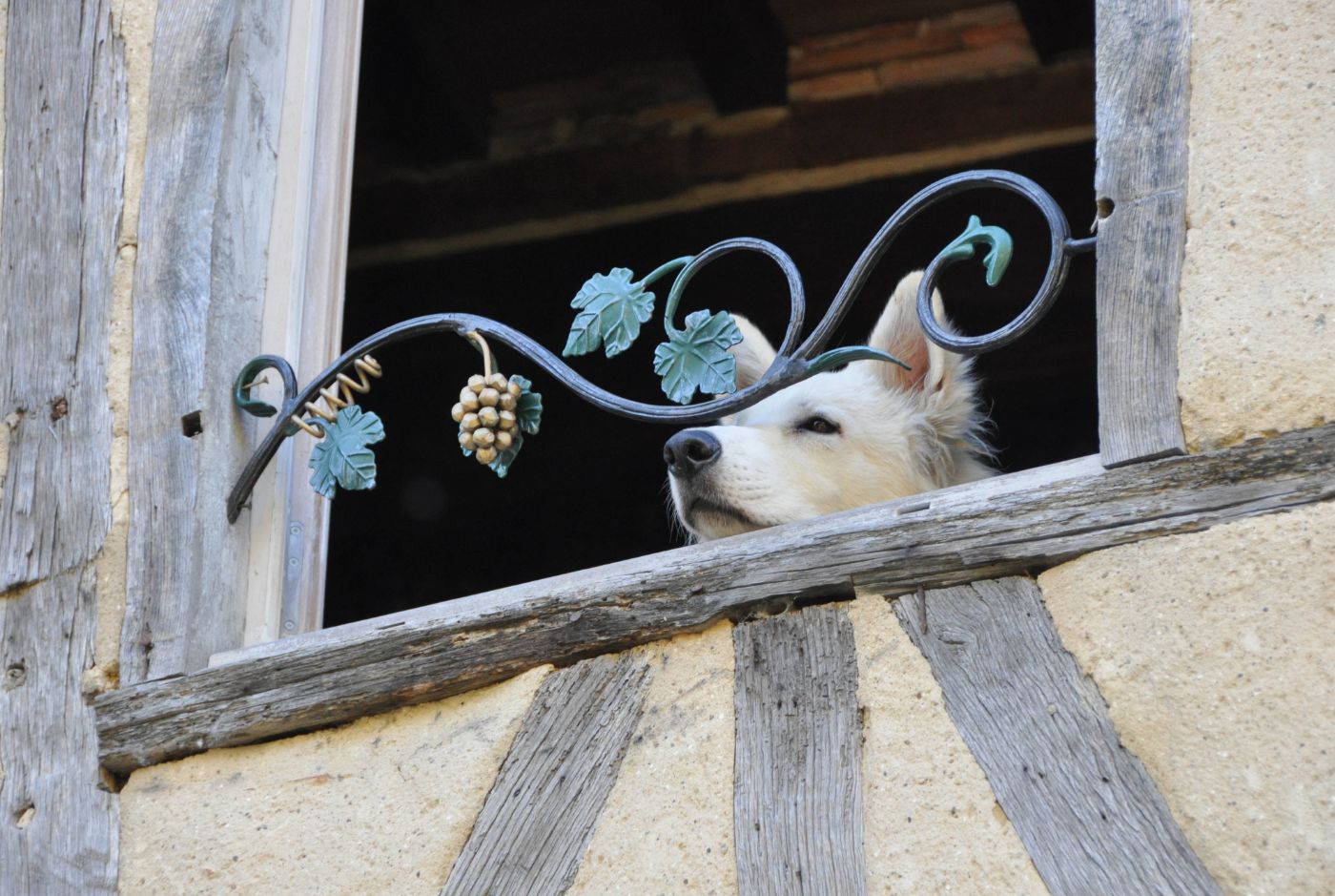 Visiter le Gers en 3 jours : itinéraire et bonnes adresses - La