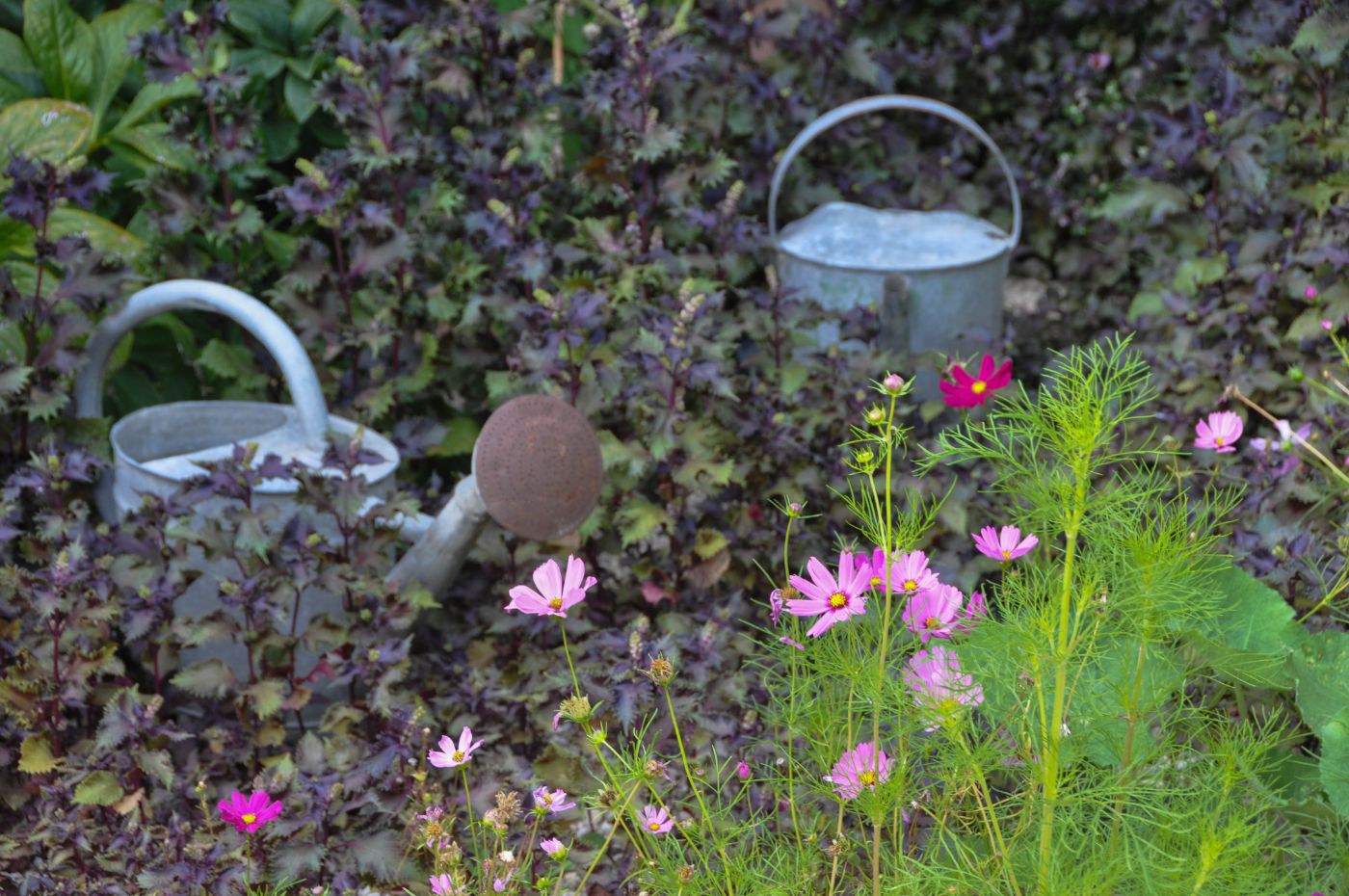 Jardins de Coursiana, Gers - Blog La Marinière en Voyage