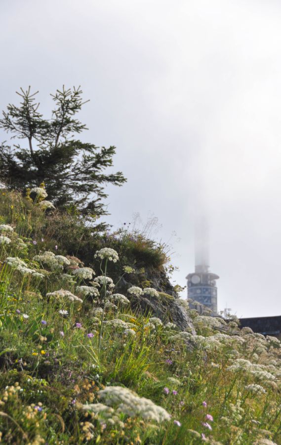 Randonnée Puy de Dôme et Puy Pariou - Blog La Marinière en Voyage