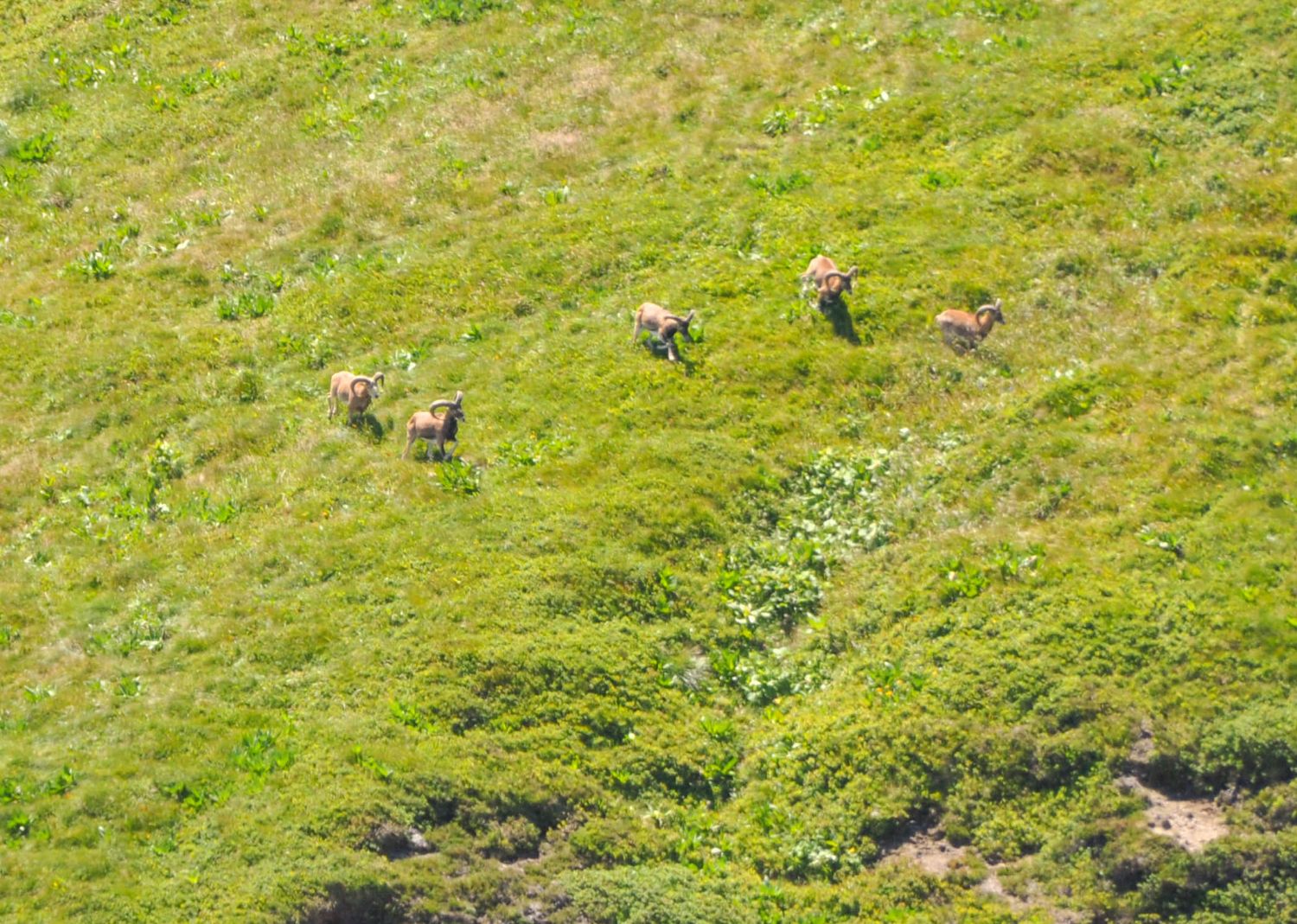 Randonnée Puy de Sancy par Chaudefour - Blog La Marinière en Voyage