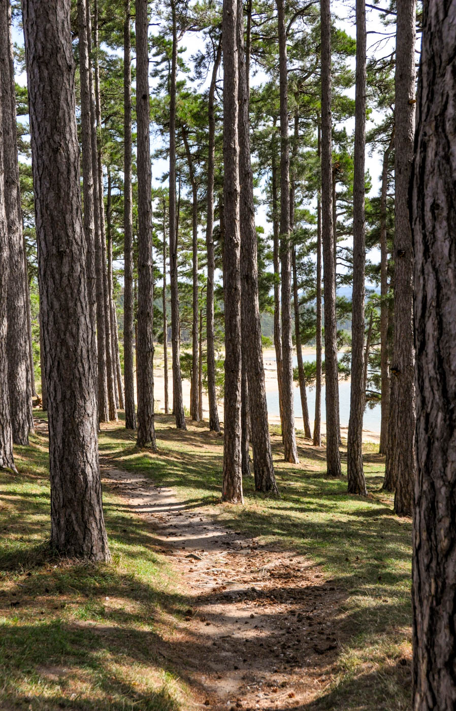 Saint Ferreol - Canal du midi
