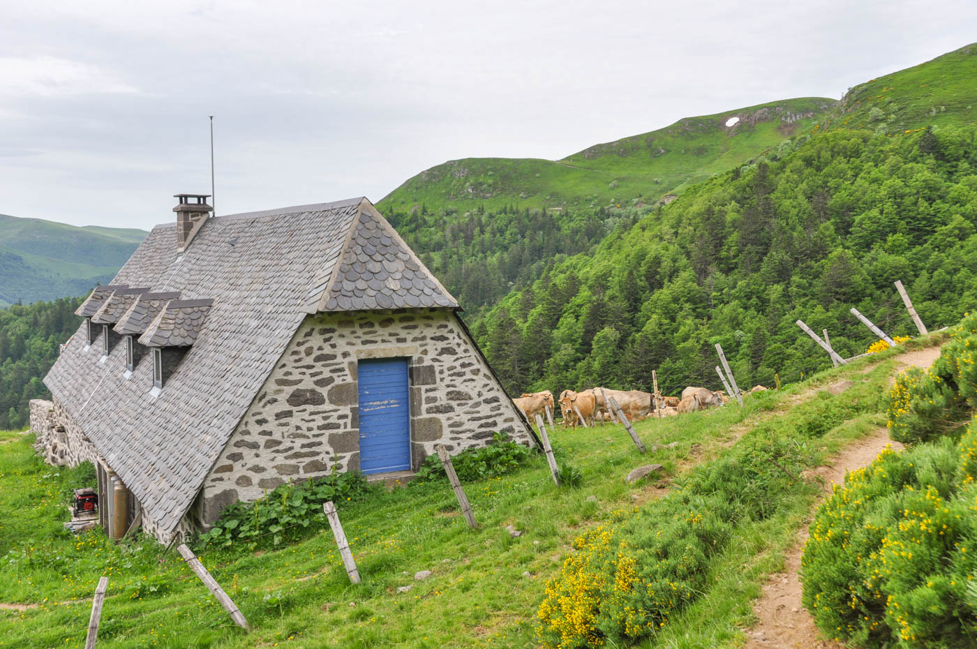 Randonnée au Puy Mary - Blog La Marinière en Voyage