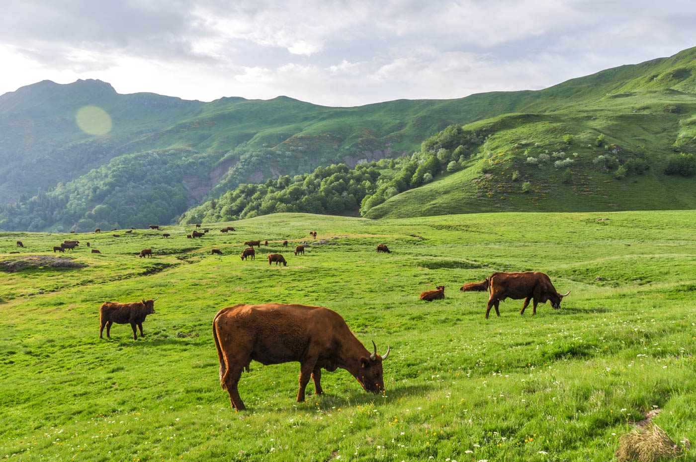 Randonnée au Puy Mary - Blog La Marinière en Voyage