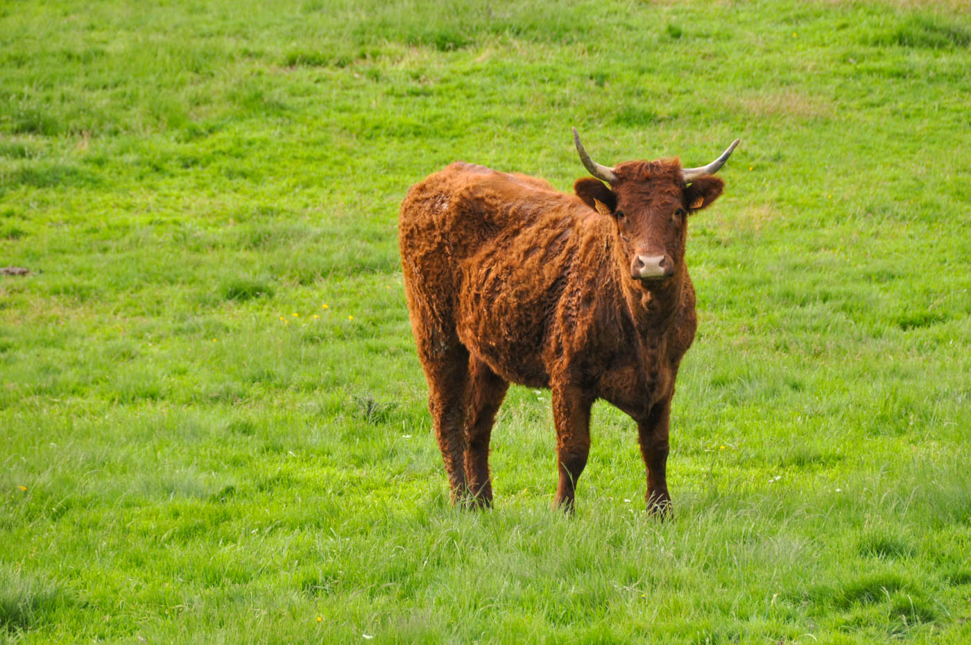 Randonnée au Puy Mary - Blog La Marinière en Voyage