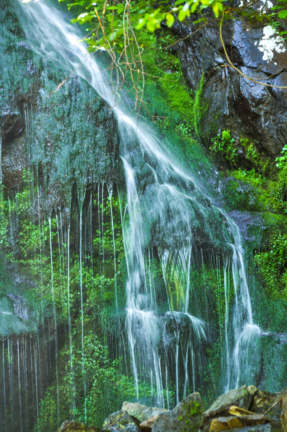 Vallée de la Jordanne - Blog La Marinière en Voyage