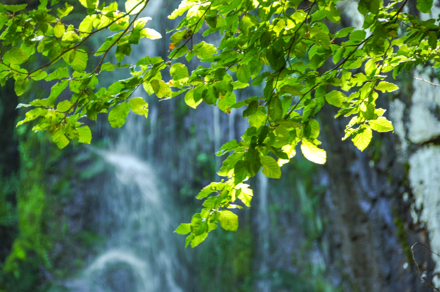 Vallée de la Jordanne - Blog La Marinière en Voyage