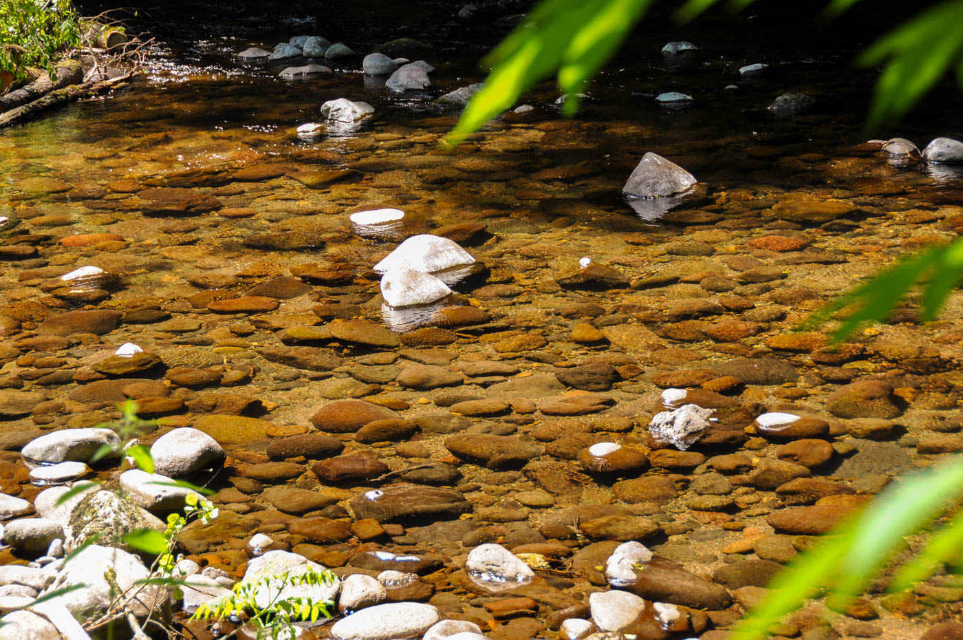 Gorges de la Jordanne - Blog La Marinière en Voyage