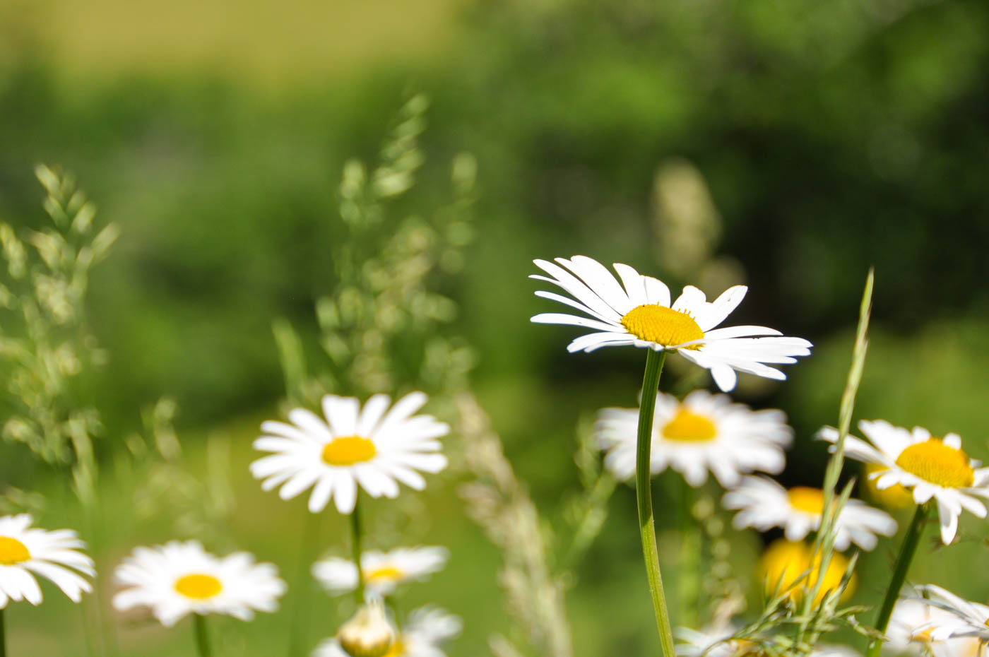 Vallée de la Jordanne - Blog La Marinière en Voyage