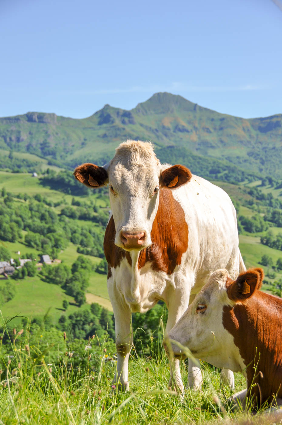 Vallée de la Jordanne - Blog La Marinière en Voyage