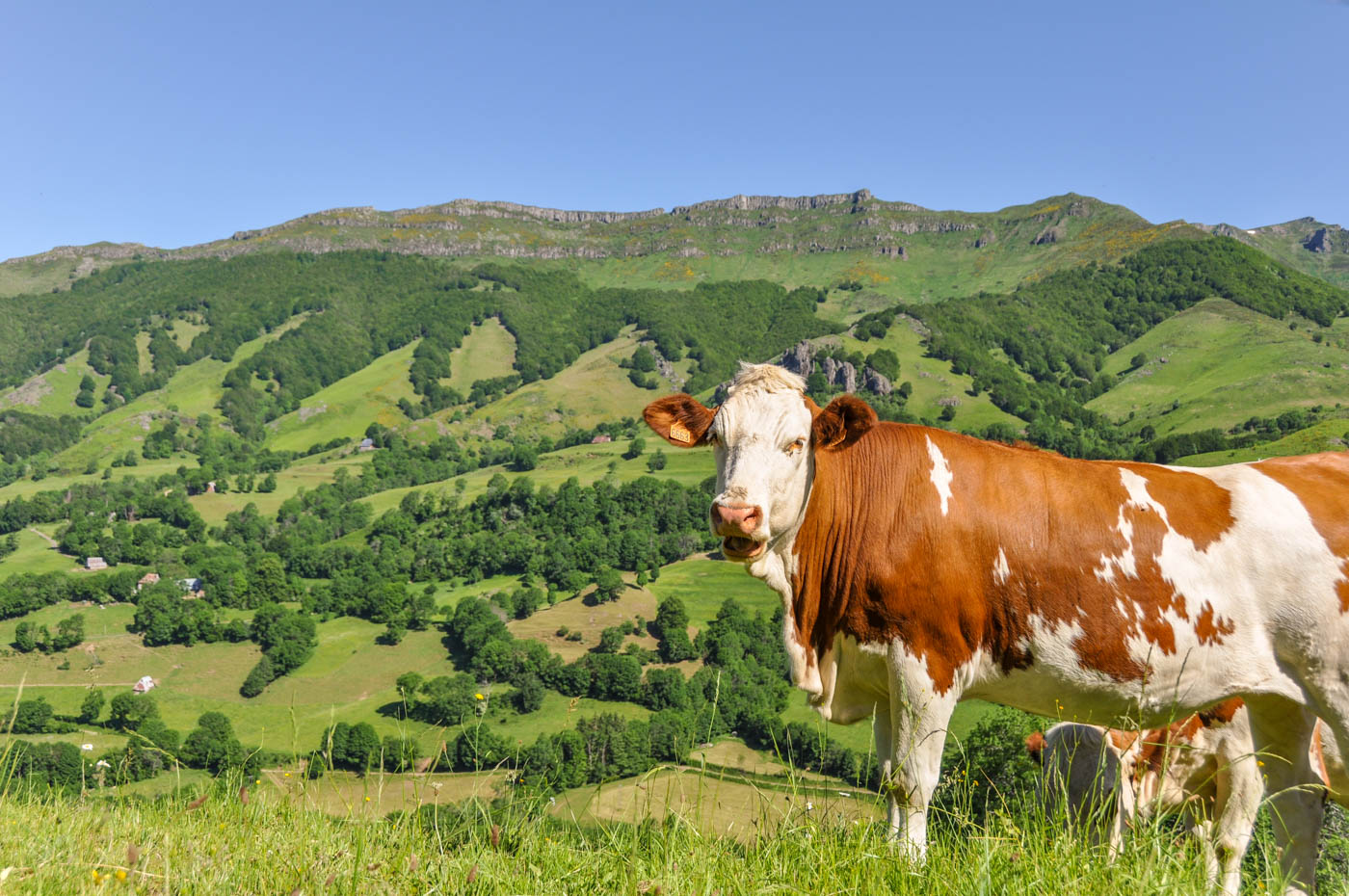 Vallée de la Jordanne - Blog La Marinière en Voyage