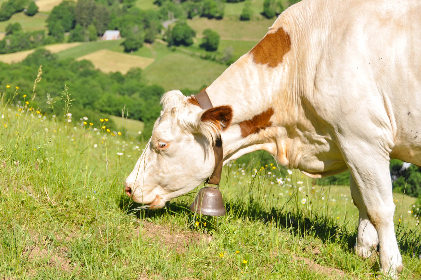 Vallée de la Jordanne - Blog La Marinière en Voyage