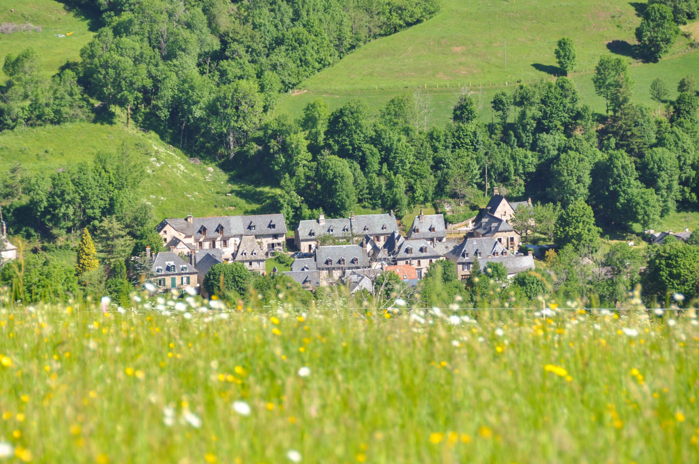 Vallée de la Jordanne - Blog La Marinière en Voyage