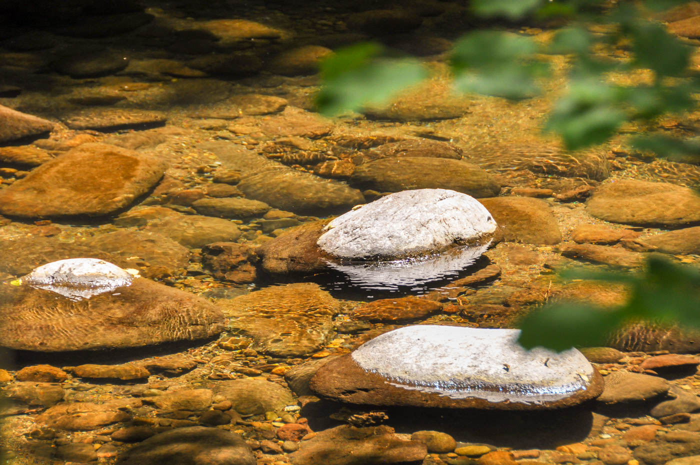 Gorges de la Jordanne - Blog La Marinière en Voyage