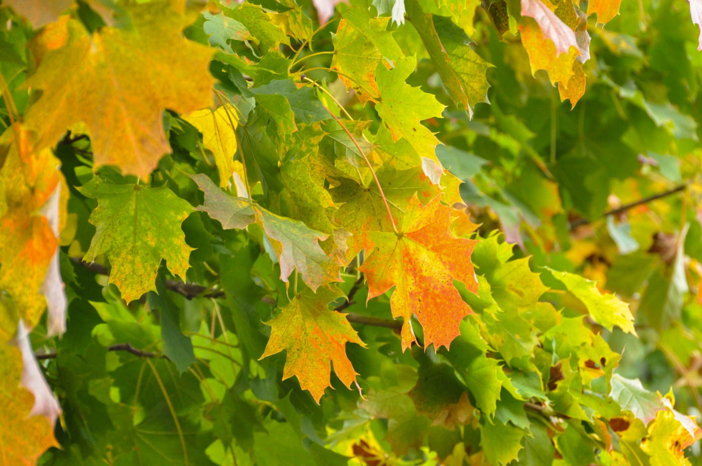 Echange de Maison HomeExchange - Blog La Marinière en Voyage