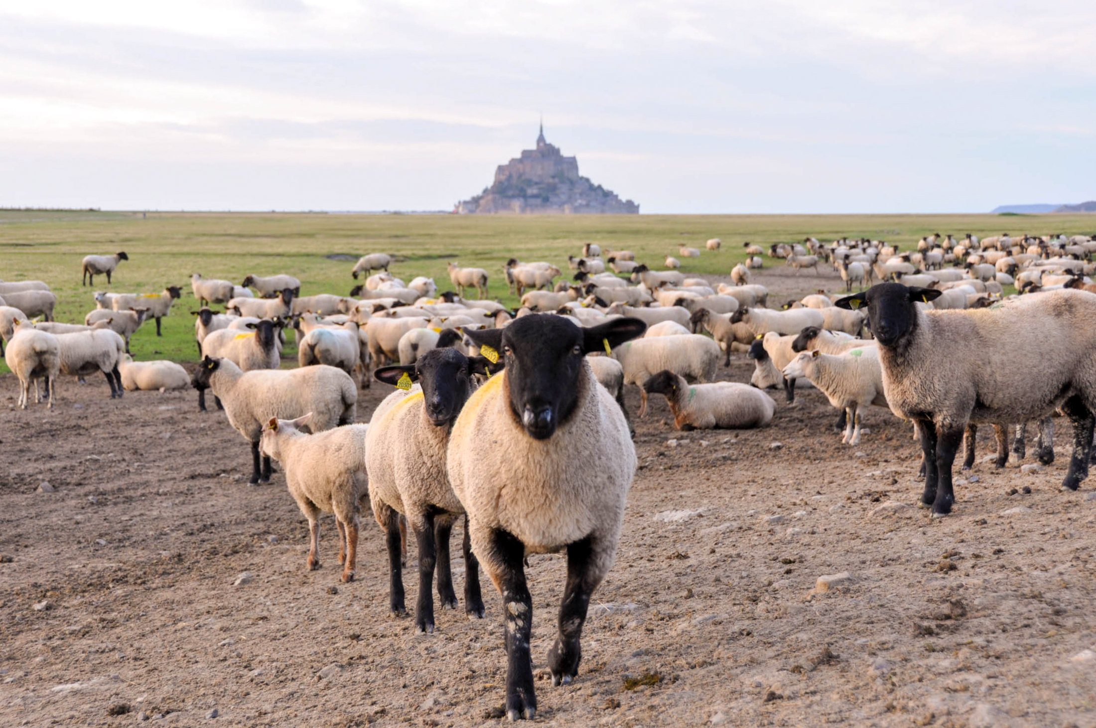 Mont Saint Michel - Blog La Marinière en Voyage