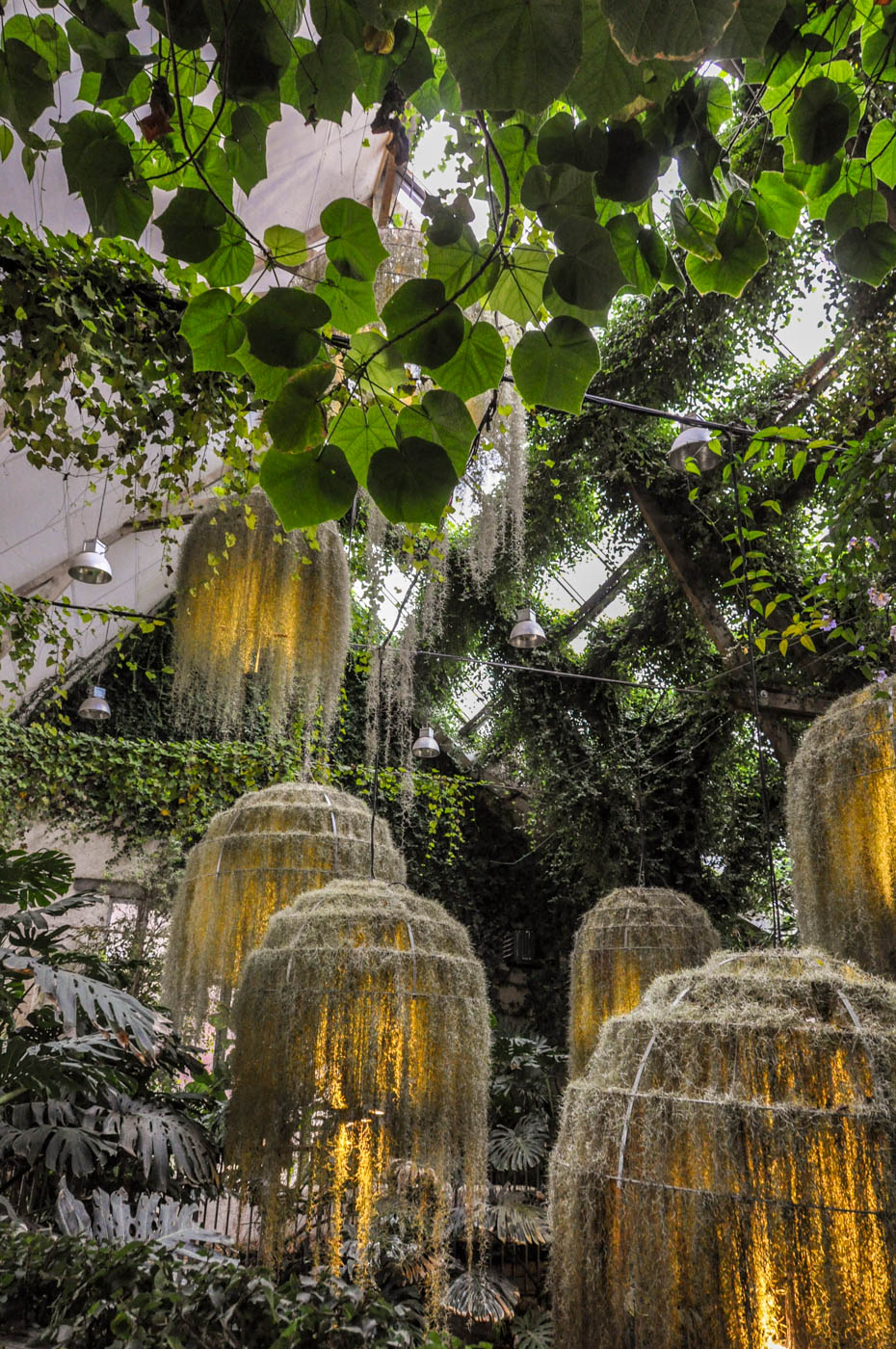 Noël au château de Chaumont sur Loire