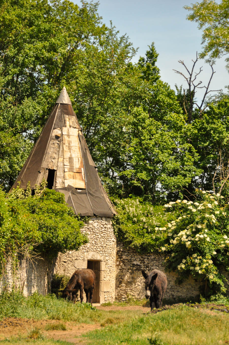 Visiter les Châteaux de la Loire autrement