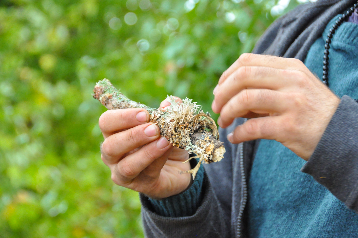 Que faire à Villefranche-de-Rouergue et aux alentours ?