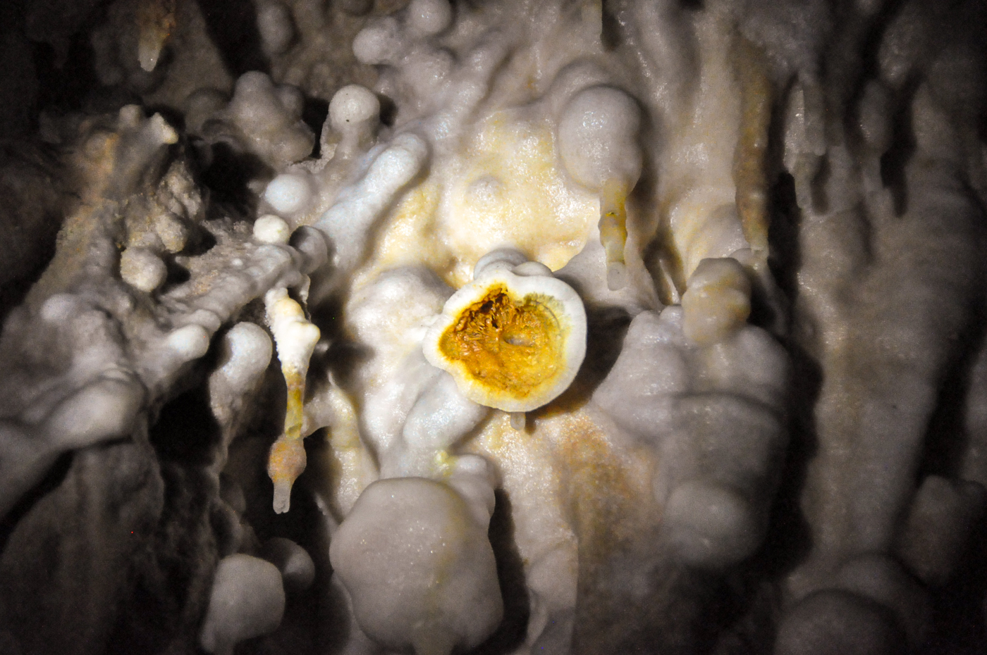 Grotte de Foissac - Blog La Marinière en Voyage