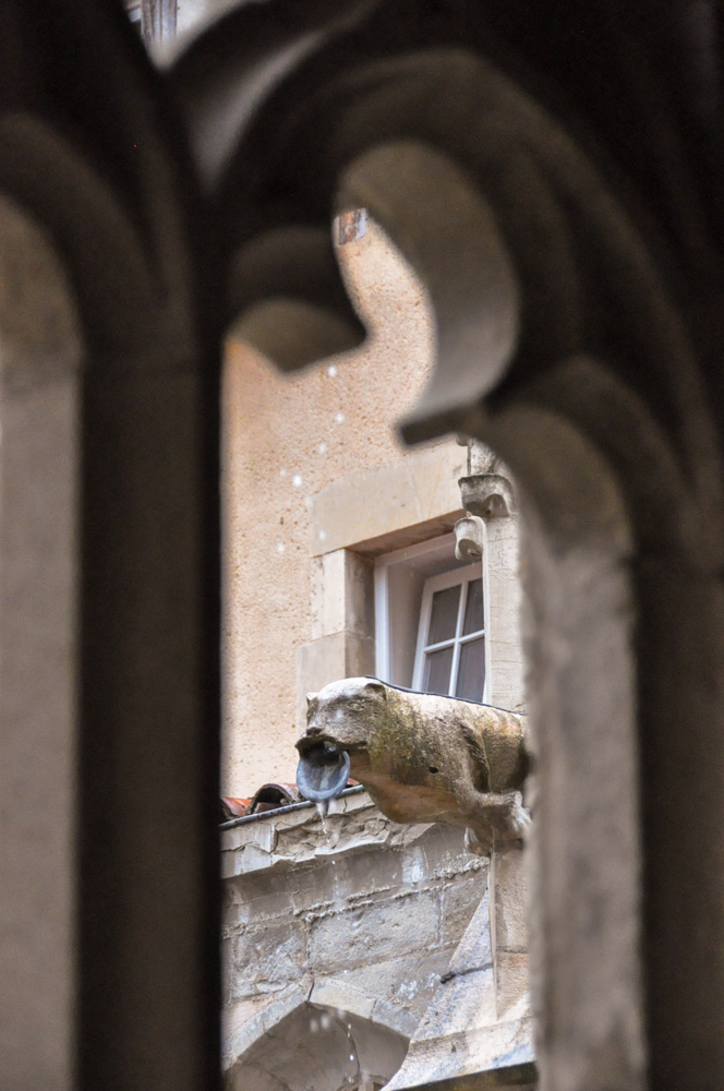 Que faire à Villefranche-de-Rouergue et aux alentours ?