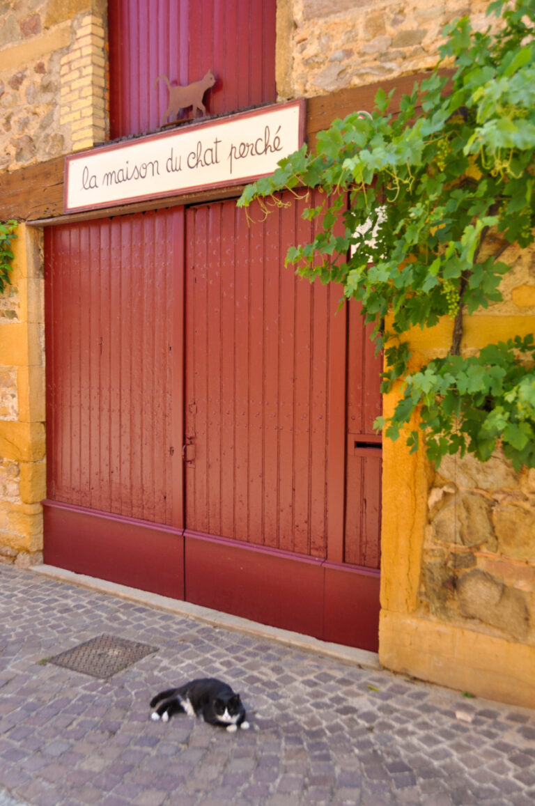 Ternand Les 5 plus beaux villages des pierres dorées du Beaujolais - La ...