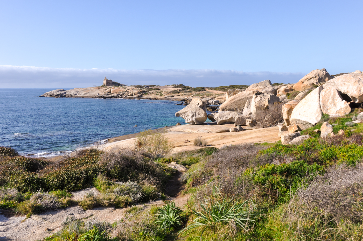 Activités à faire à Calvi