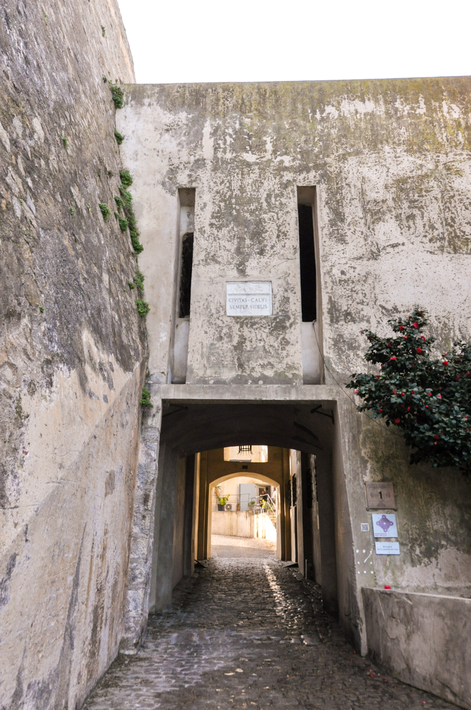 Visiter Calvi : guide pratique