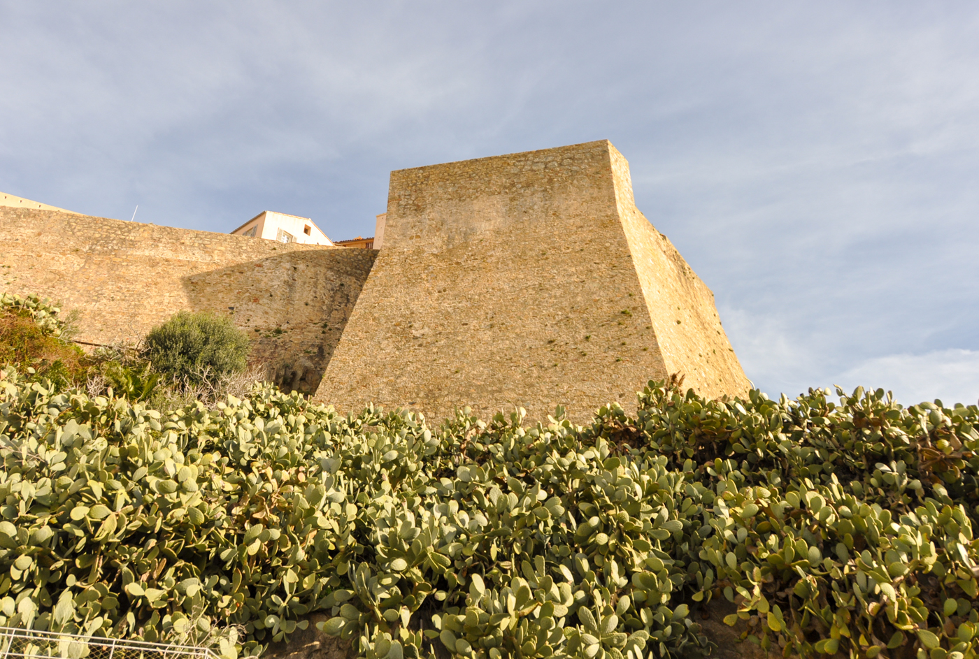 Visiter Calvi : guide pratique