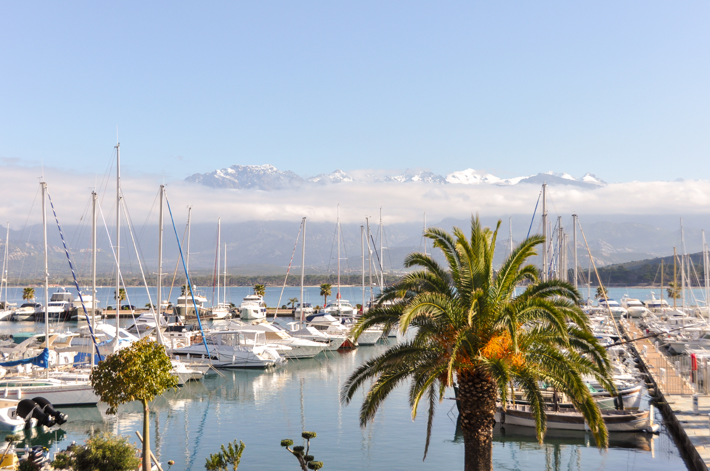 Que faire à Calvi : les incontournables