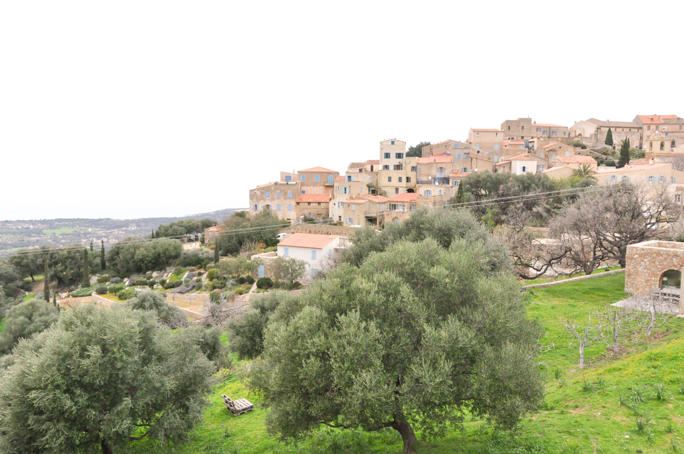 Pigna - Village a visiter autour de Calvi