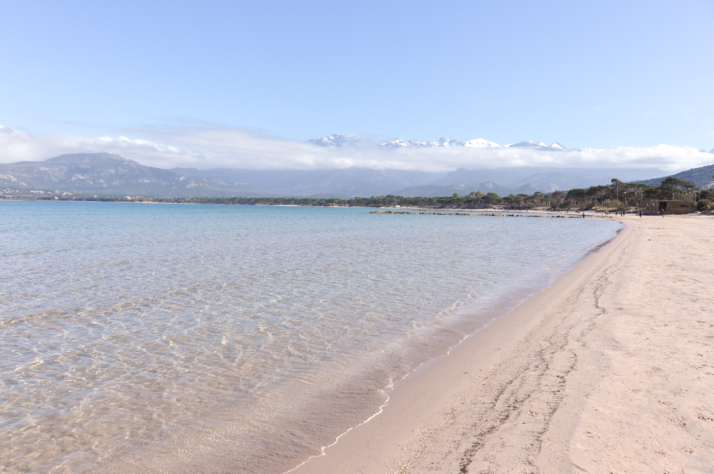 Que faire à Calvi : les incontournables