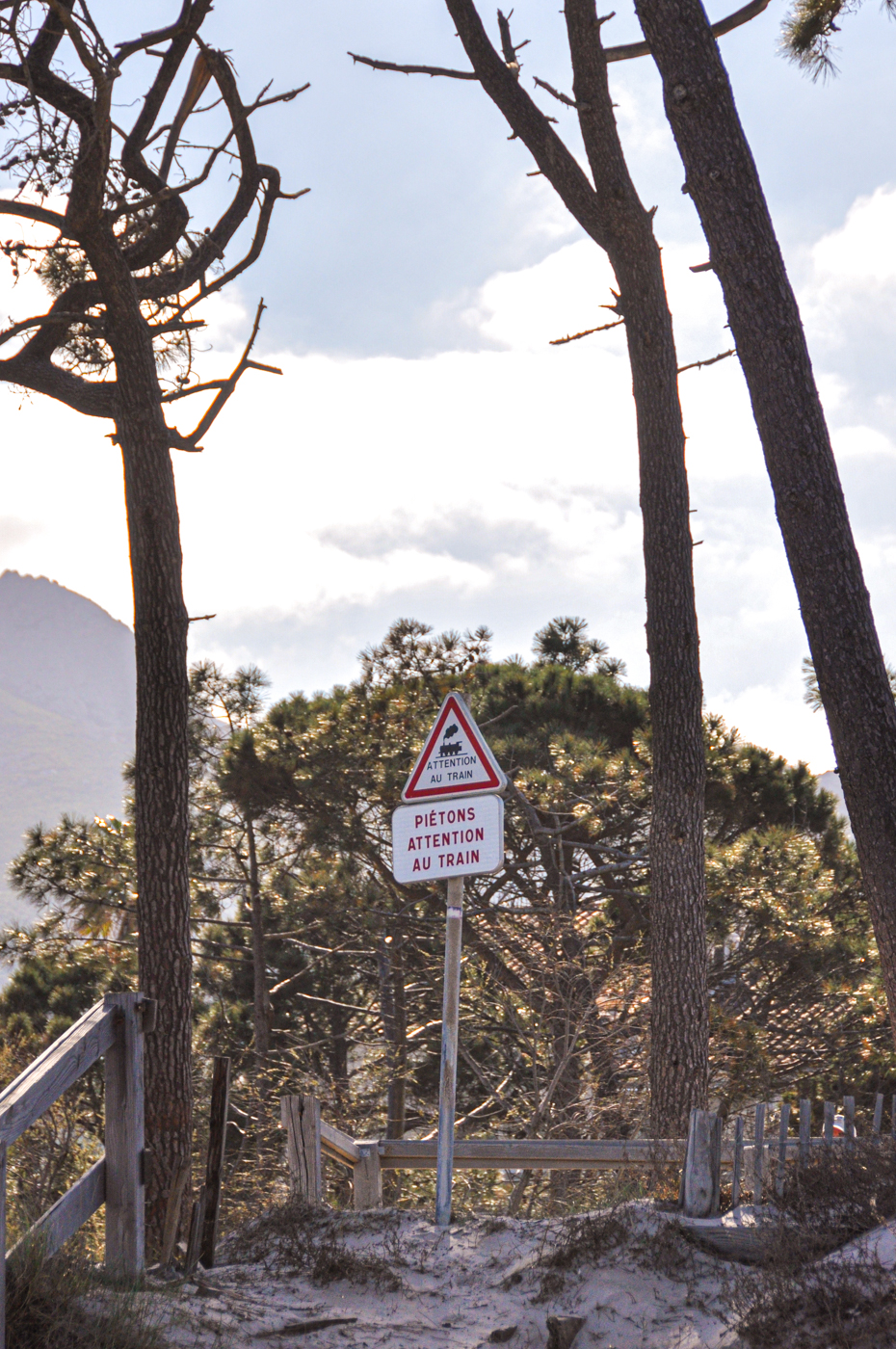 Visiter Calvi petit train