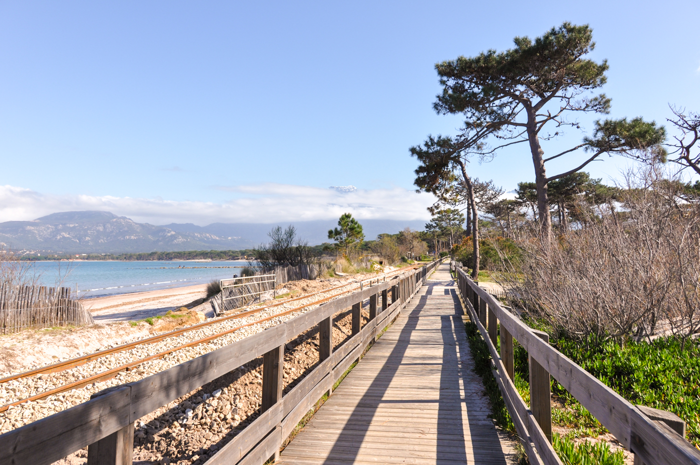 Que faire à Calvi : les incontournables