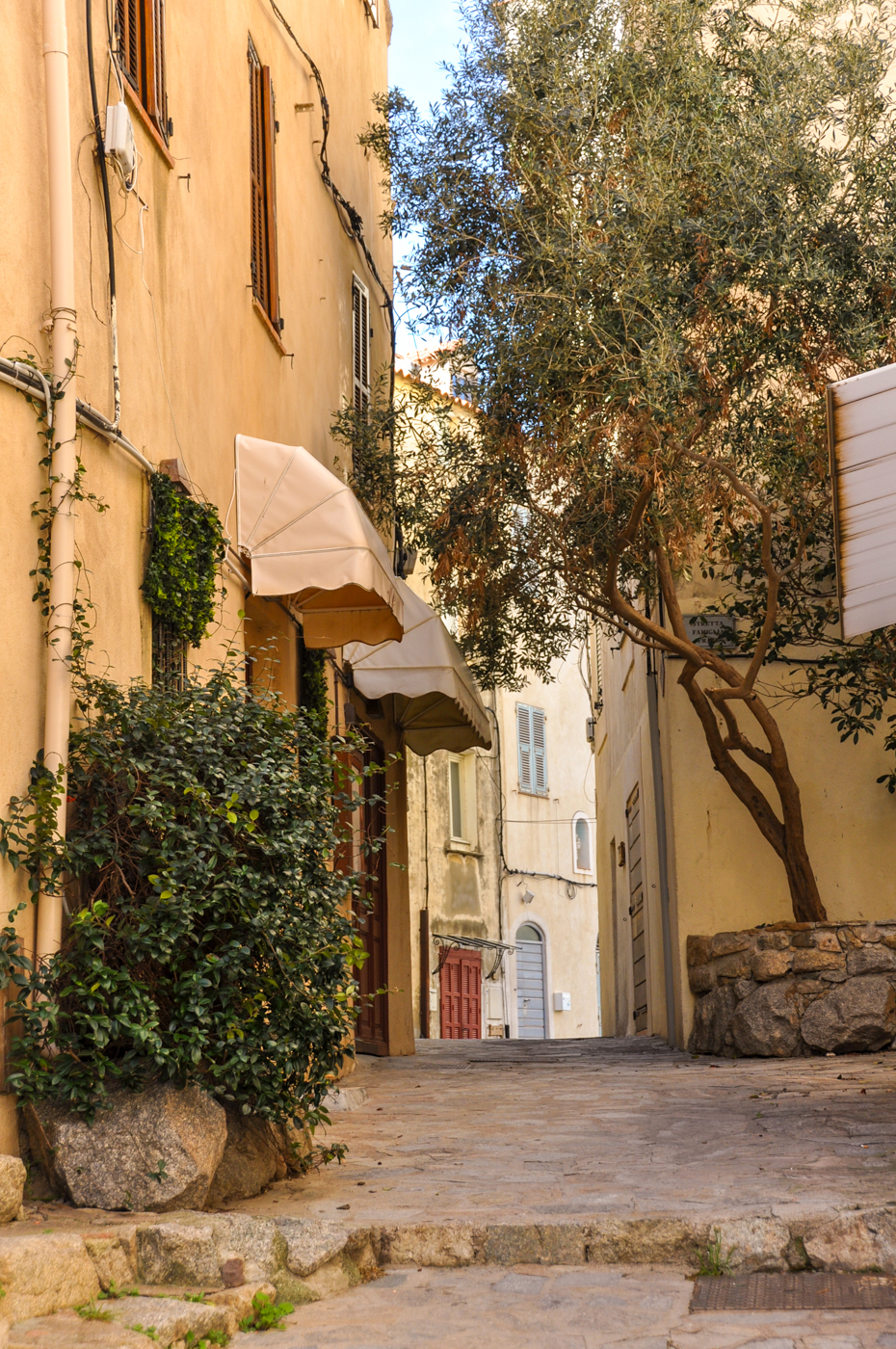 Visiter Calvi : guide pratique