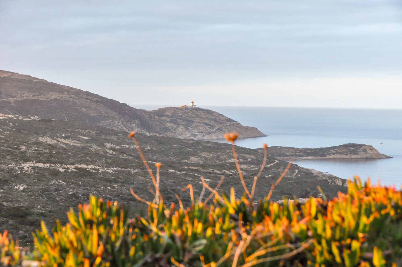 Activités à faire à Calvi