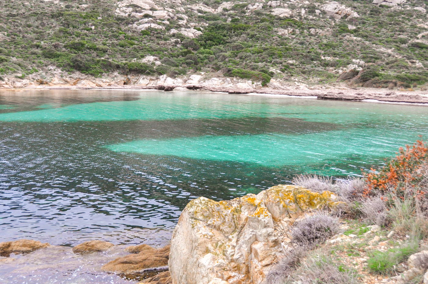 Activités à faire à Calvi