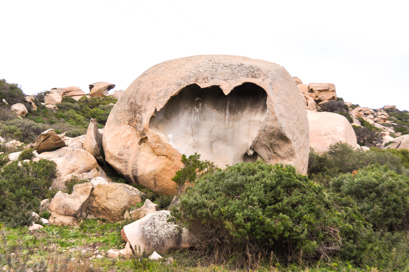 Activités à faire à Calvi